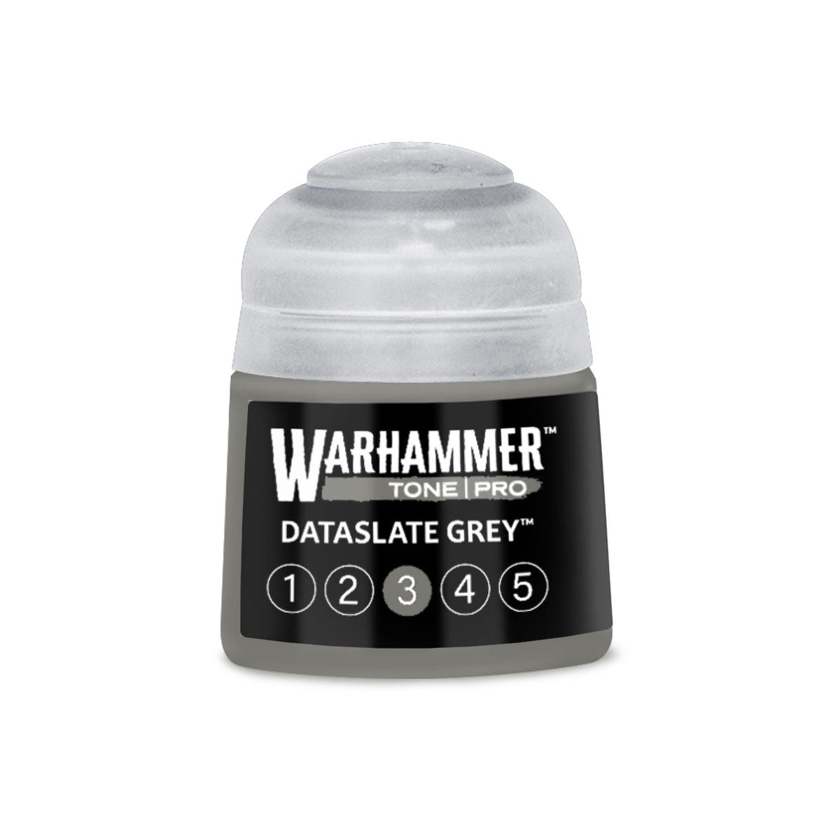 Tone Pro Paint: Dataslate Grey 3