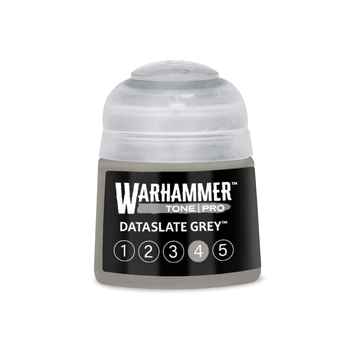 Tone Pro Paint: Dataslate Grey 4