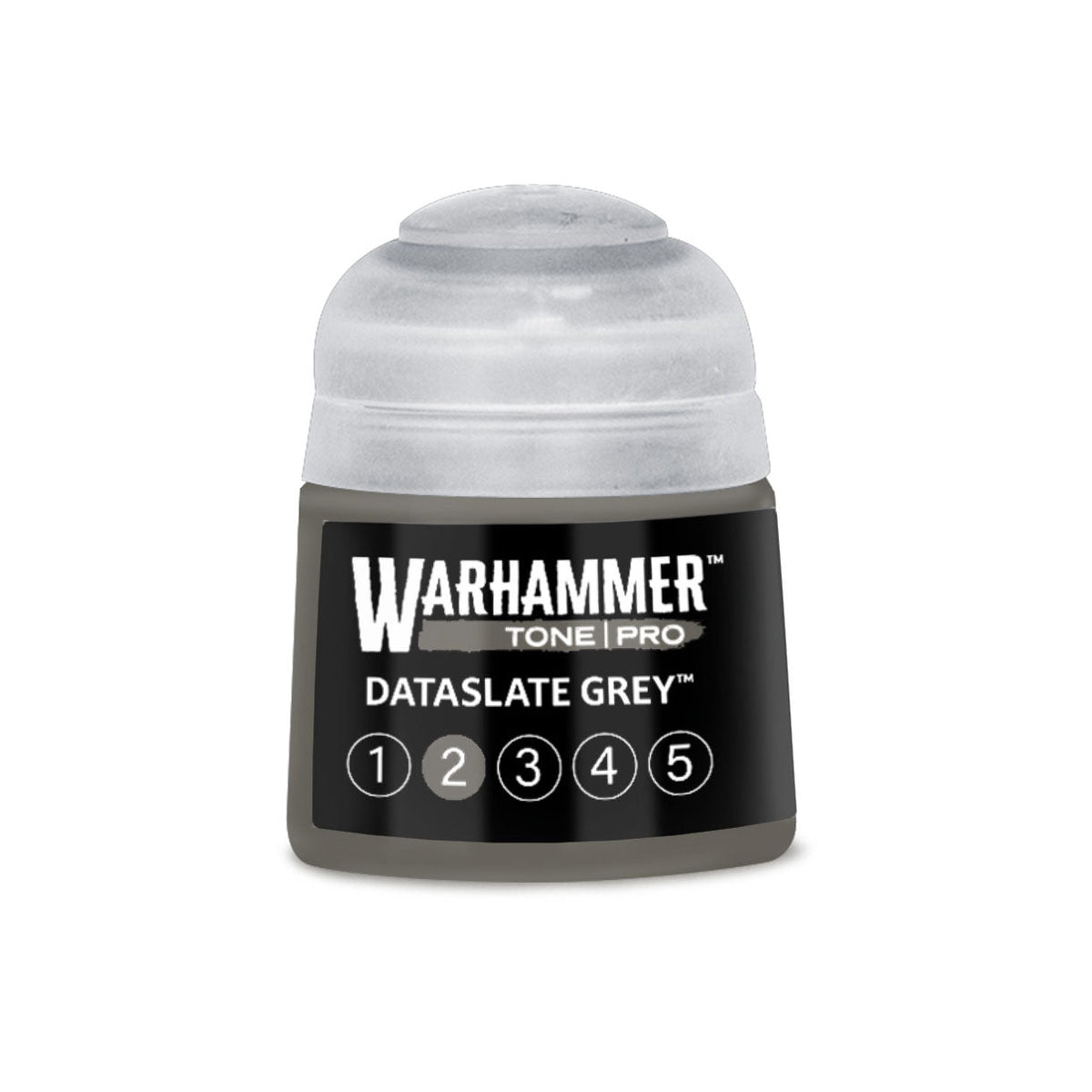 Tone Pro Paint: Dataslate Grey 2
