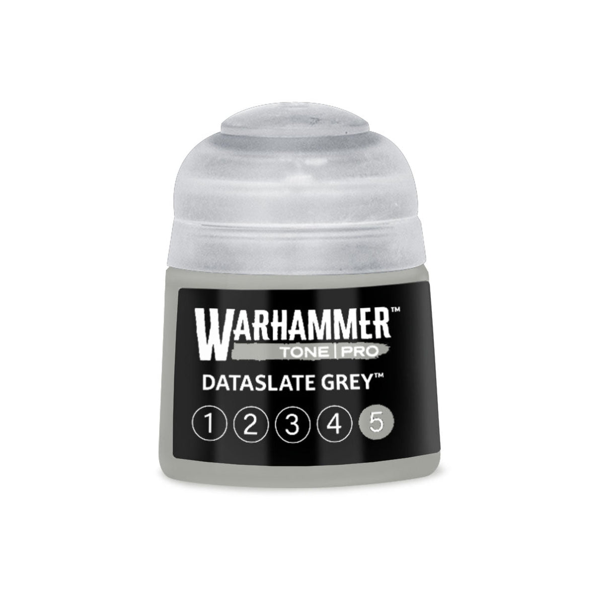 Tone Pro Paint: Dataslate Grey 5