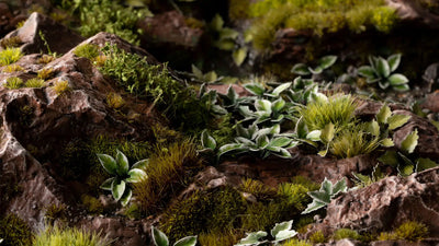 Gamers Grass: Laser Plants - Plantain Lily